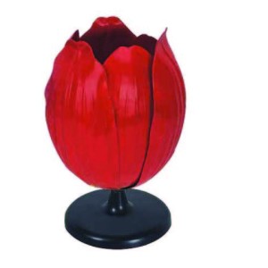 Tulip flower model